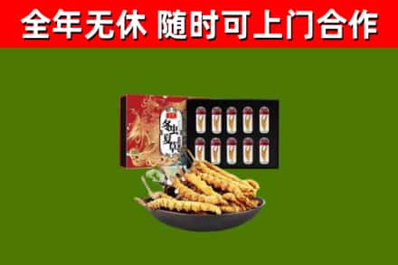 万秀回收冬虫夏草价格
